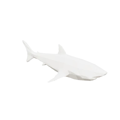 Mô hình 3D Cá mập — Câu cá